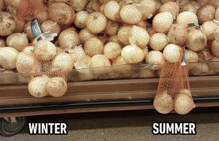 winter and summer funny - Winter Summer