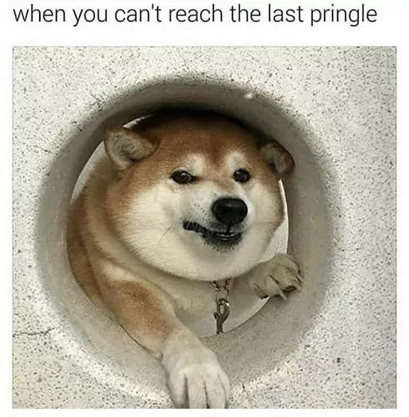 food memes - when you can't reach the last pringle