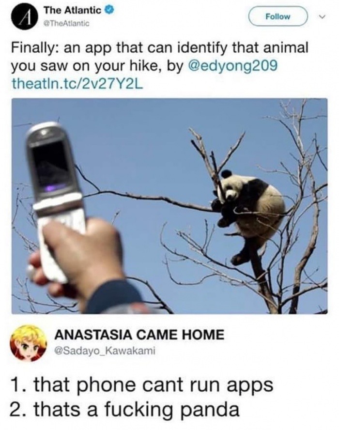 funny quotes and sayings - The Atlantic Finally an app that can identify that animal you saw on your hike, by theatln.to2v27Y2L Anastasia Came Home 1. that phone cant run apps 2. thats a fucking panda
