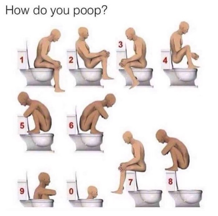 different ways to take a shit - How do you poop? 2
