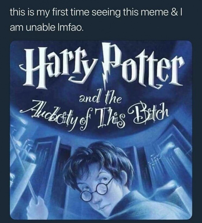 dank meme harry potter and the audacity - this is my first time seeing this meme & || am unable Imfao. Harry Potter and the lubality of The Bitch