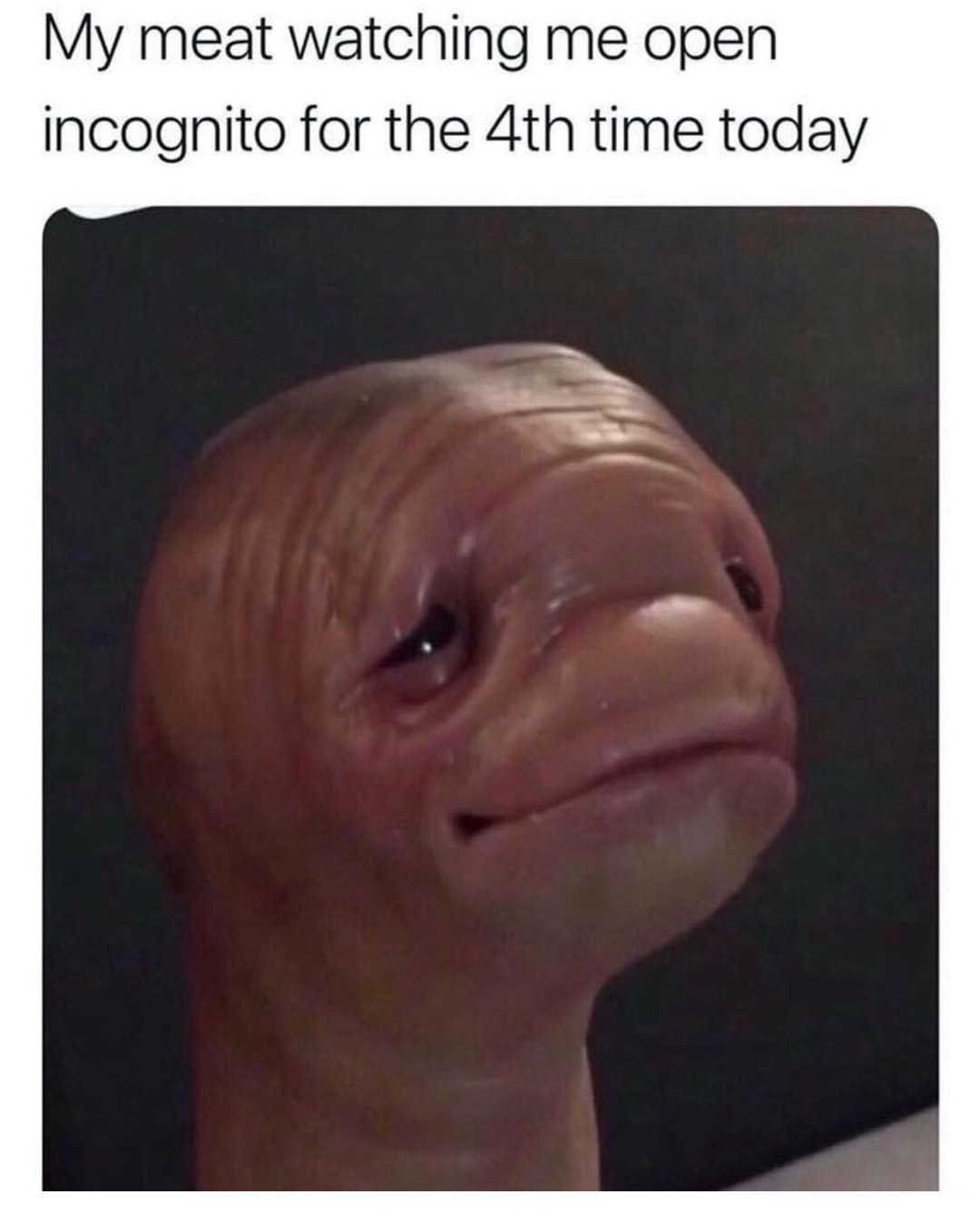 dank meme make your friends laugh - My meat watching me open incognito for the 4th time today