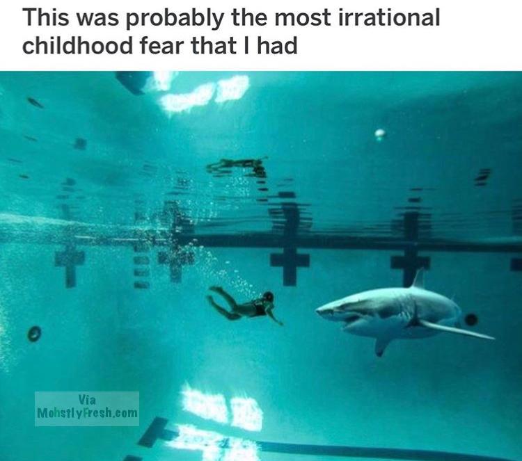 dank meme shark in pool meme - This was probably the most irrational childhood fear that I had Via Mohstly Fresh.com