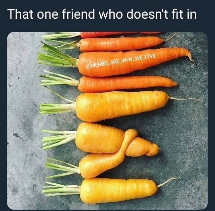 dank meme brittany wright carrots - That one friend who doesn't fit in Are WHY_WELIVE
