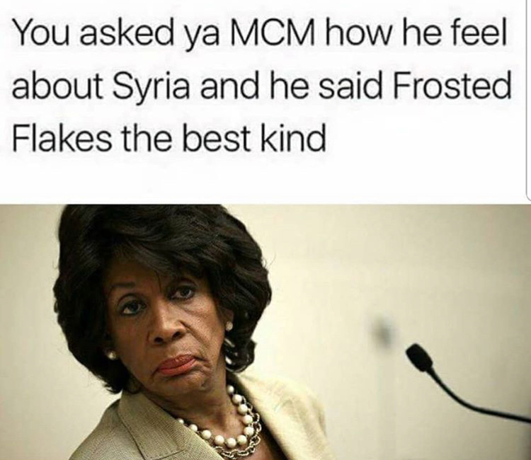 dank meme maxine waters meme - You asked ya Mcm how he feel about Syria and he said Frosted Flakes the best kind