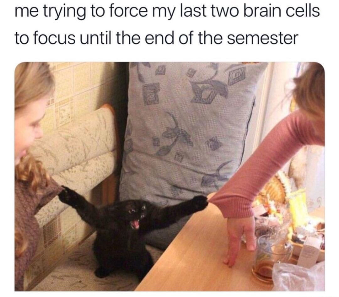 dank meme me trying to keep my last two brain cells - me trying to force my last two brain cells to focus until the end of the semester