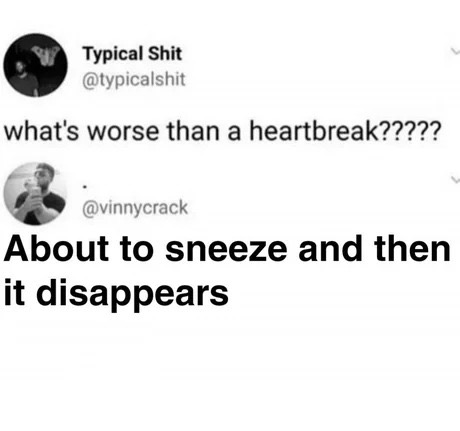 dank meme diagram - Typical Shit what's worse than a heartbreak????? About to sneeze and then it disappears