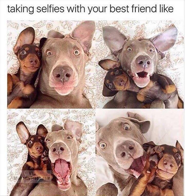 taking selfies with your best friend like - taking selfies with your best friend 3 lyresn.com
