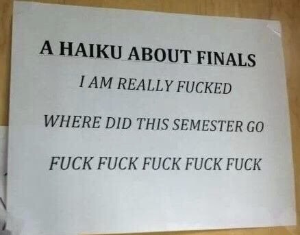 haiku about yourself - A Haiku About Finals I Am Really Fucked Where Did This Semester Go Fuck Fuck Fuck Fuck Fuck
