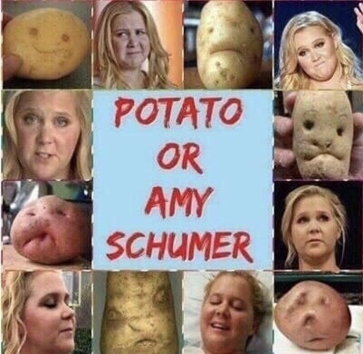 memes - amy schumer or potato - Potato Or Amy Schumer