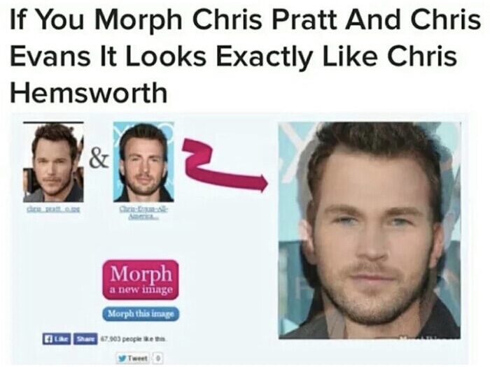 memes - chris pratt meme - If You Morph Chris Pratt And Chris Evans It Looks Exactly Chris Hemsworth Morph a new image Morph this image Dare 7.03 people y Tweet