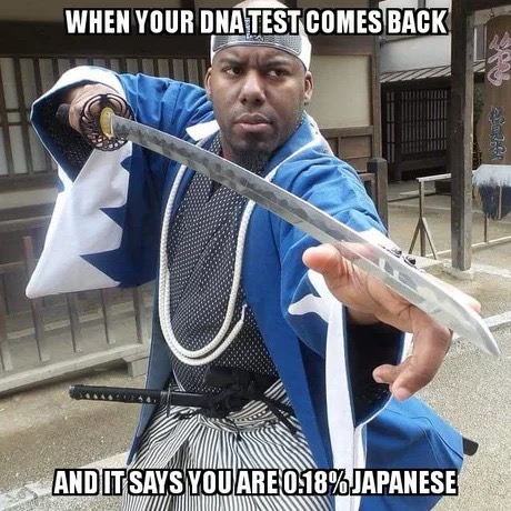 memes - funny dna memes - When Your Dnatestcomes Back And Itsays You Are 0.18% Japanese