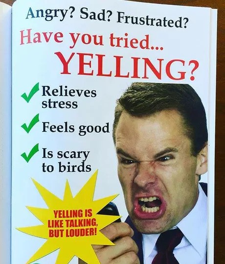 memes - angry yelling meme - Angry? Sad? Frustrated? Have you tried... Yelling? Relieves stress Feels good Is scary to birds Yelling Is Talking But Louder!