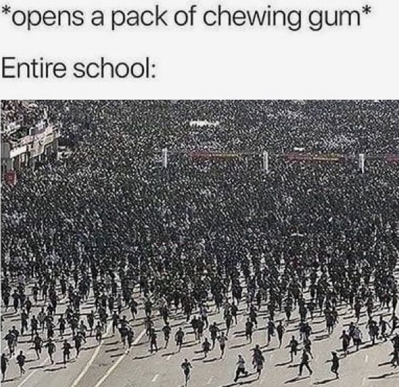 memes - gum at school meme - opens a pack of chewing gum Entire school