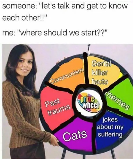 memes - let's talk and get to know each other - someone "let's talk and get to know each other!!" me "where should we start??" Serial killer facts Communism memes Past trauma jokes about my suffering Cats