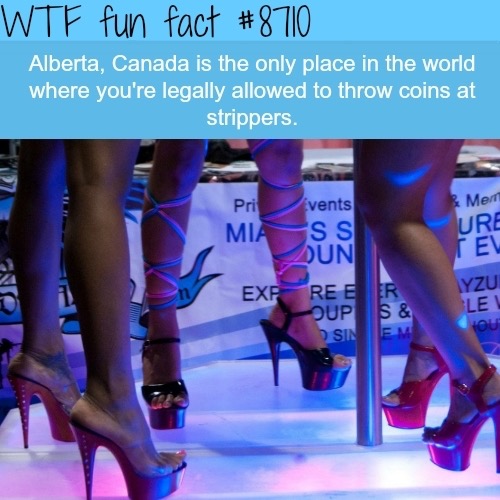 memes - best strip club miami - Wtf fun fact Alberta, Canada is the only place in the world where you're legally allowed to throw coins at strippers. & Mert Ure Privents Miass Dun Exp Ree Oup Sin Yzu Le Ou