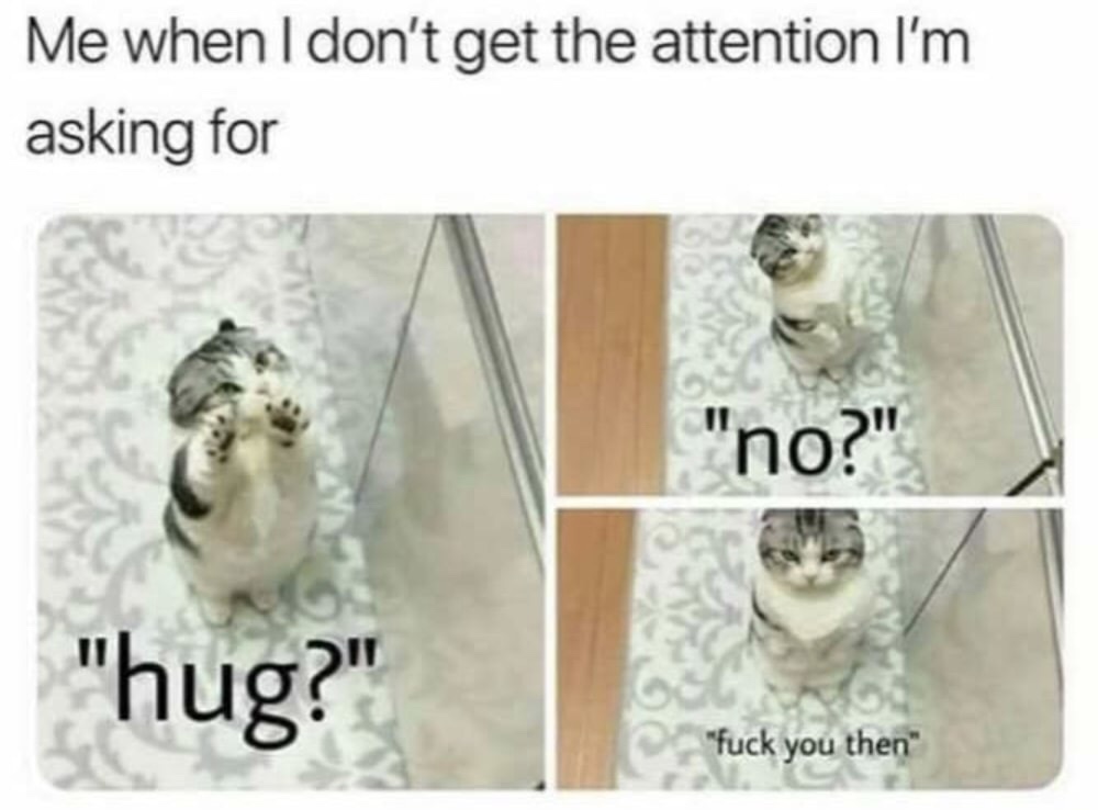 memes - me when i don t get the attention i m asking for - Me when I don't get the attention I'm asking for "no?" "hug? "fuck you then
