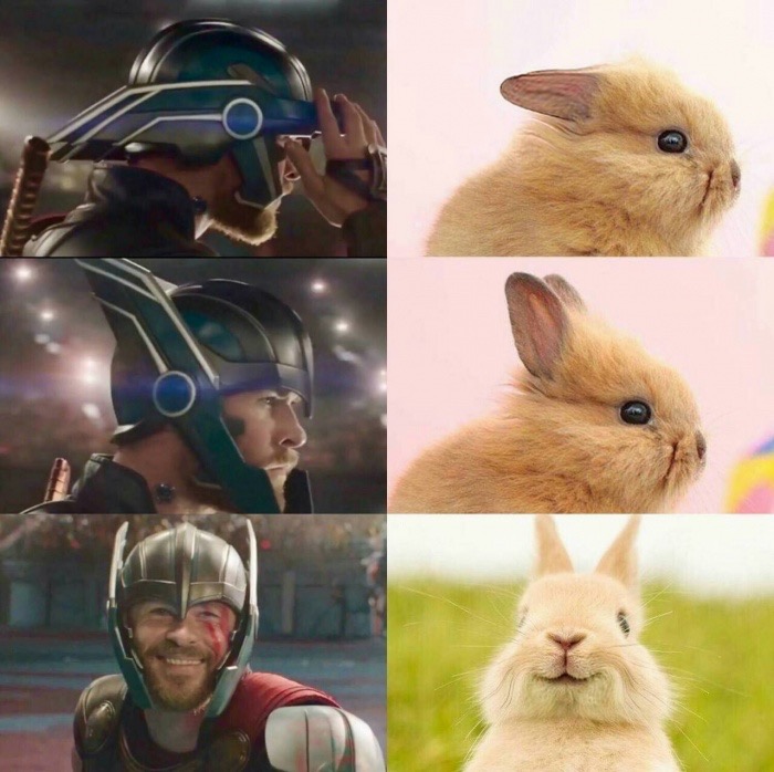 Bunny ears for the speeder helmet