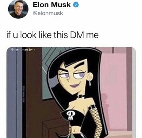 elon musk if you look like this dm me - Elon Musk if u look this Dm me man john