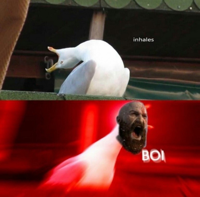 inhales boi meme - inhales Boi