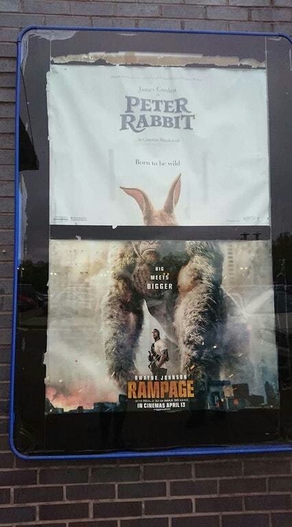 memes - advertisement board memes - Peter Rabbit Bone will Meets Bigger In Cinemas April 13