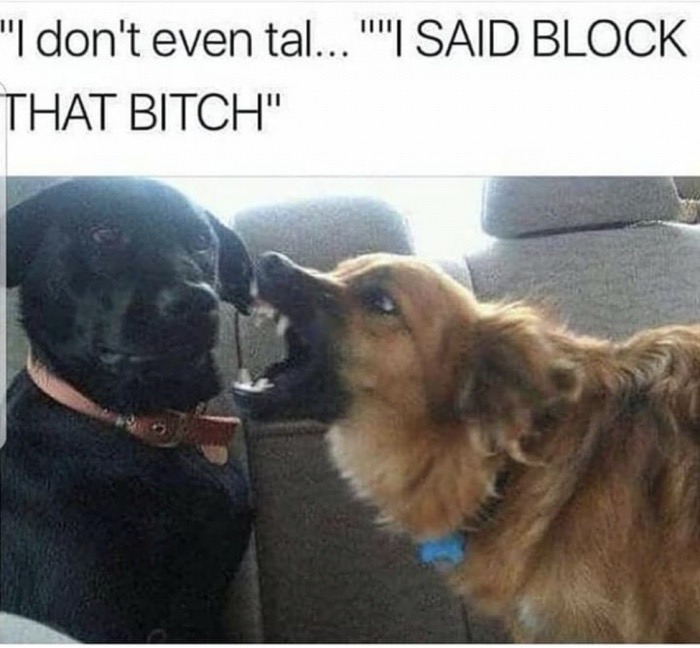 memes - shouting dog meme - "I don't even tal... "I Said Block That Bitch"