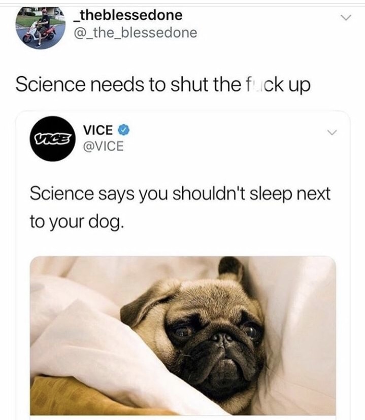 memes - funny pug memes - 5. _theblessedone Science needs to shut the fuck up Vice Vice Science says you shouldn't sleep next to your dog.