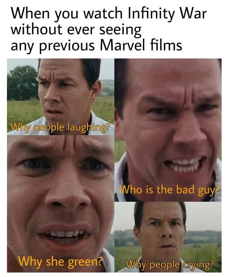 memes - mark wahlberg the happening - When you watch Infinity War without ever seeing any previous Marvel films Why people laughing Who is the bad guy? Why she green? Why people crying?