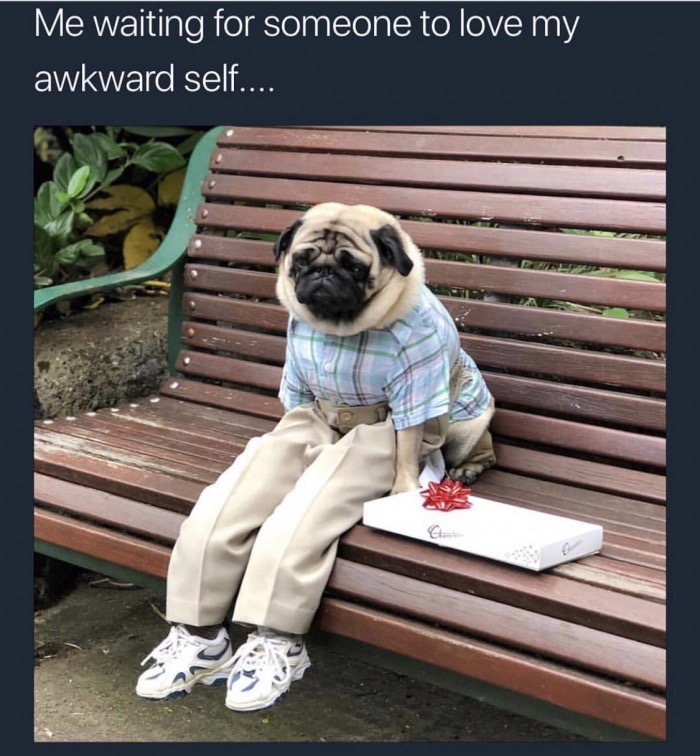 memes - me waiting meme - Me waiting for someone to love my awkward self....