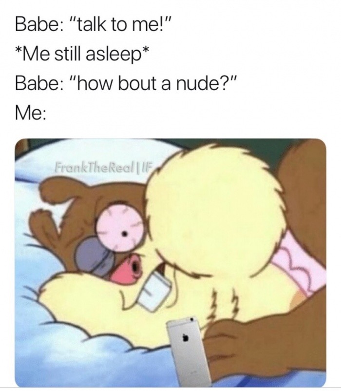 memes - cartoon - Babe "talk to me!" Me still asleep Babe "how bout a nude?" Me FrankTheReal|If