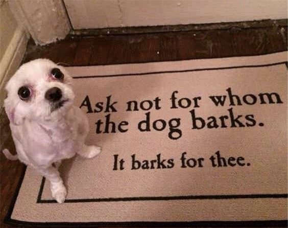 memes - photo caption - Ask not for whom the dog barks. It barks for thee.