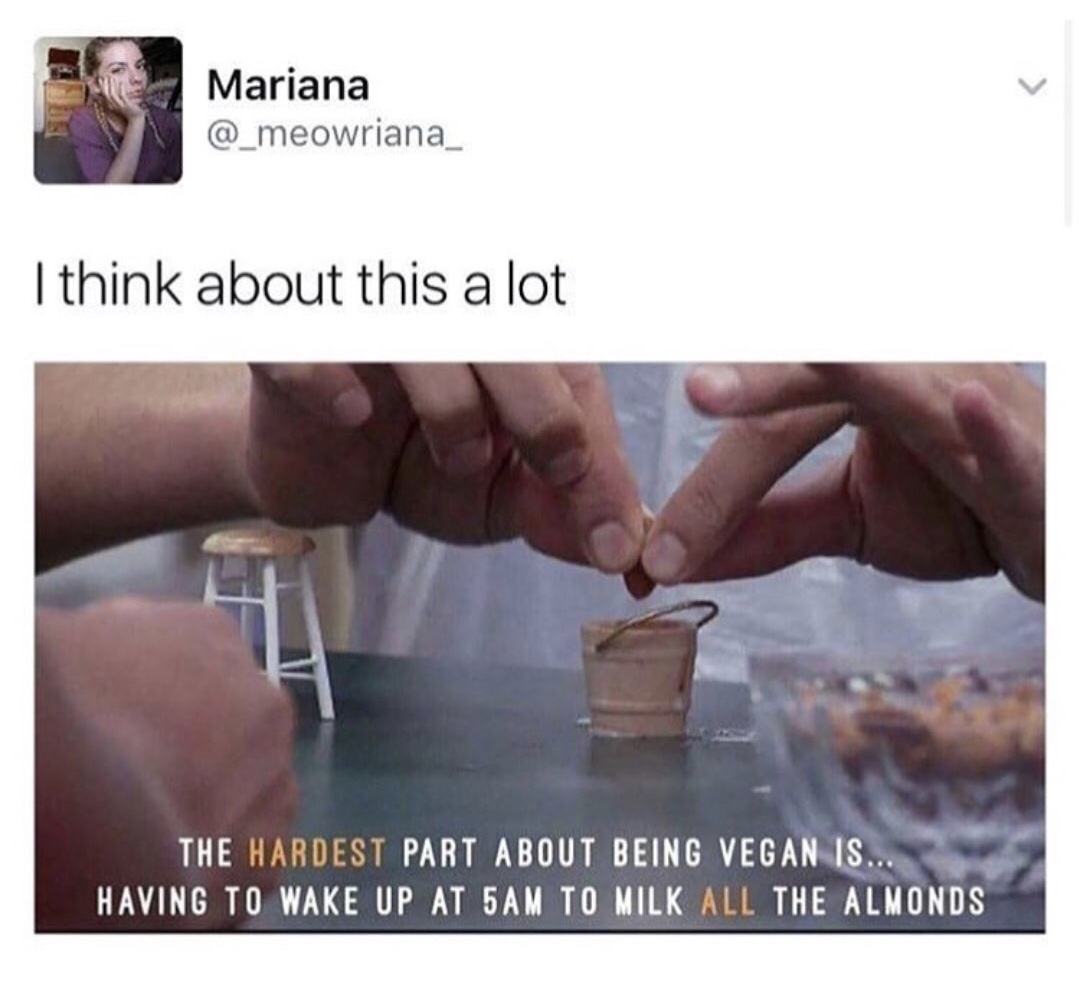 memes - milk the almonds meme - Mariana I think about this a lot The Hardest Part About Being Vegan Is.. Having To Wake Up At 5 Am To Milk All The Almonds