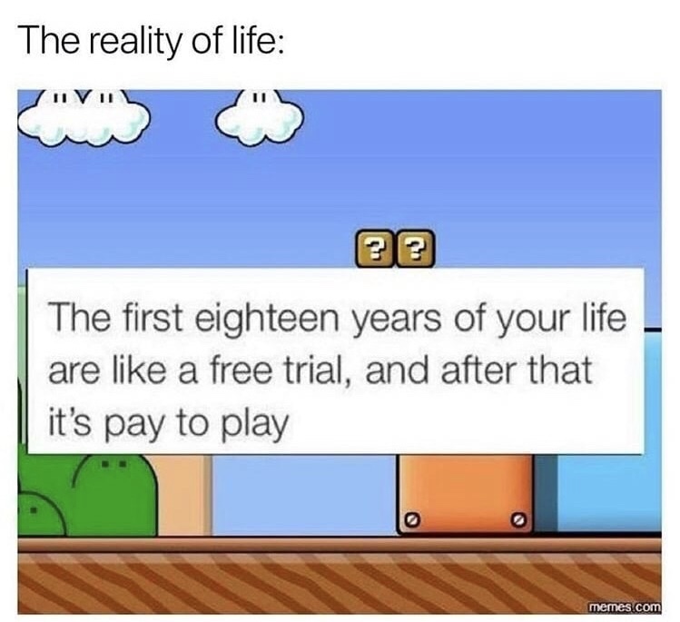 reality of life meme - The reality of life The first eighteen years of your life are a free trial, and after that it's pay to play memes.com