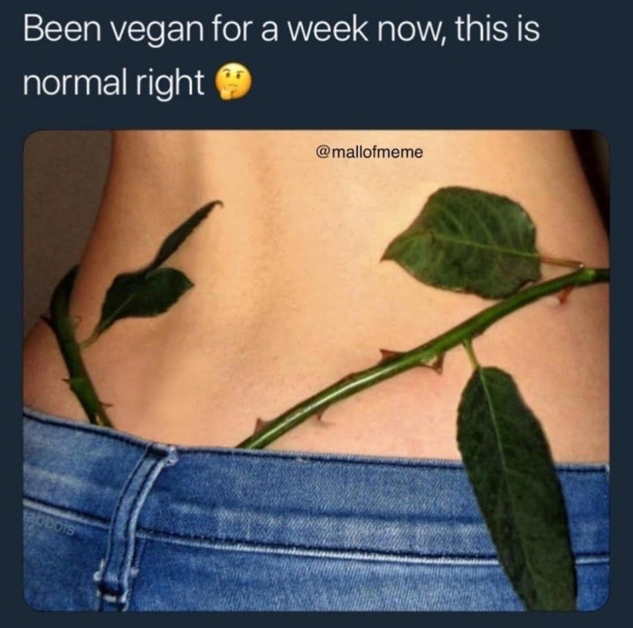 Been vegan for a week now, this is normal right