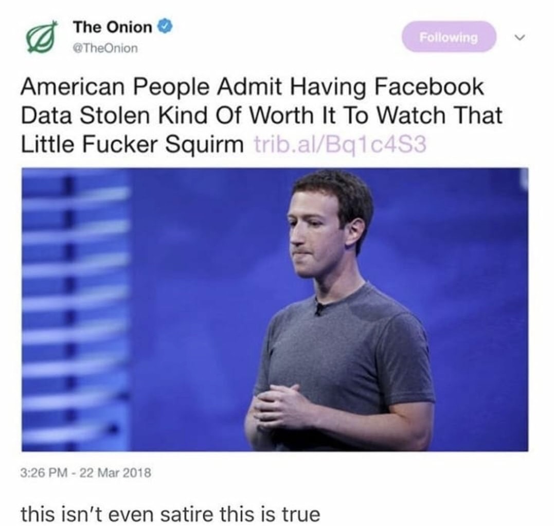 memes - onion - The Onion ing American People Admit Having Facebook Data Stolen Kind Of Worth It To Watch That Little Fucker Squirm trib.alBq1c453 this isn't even satire this is true