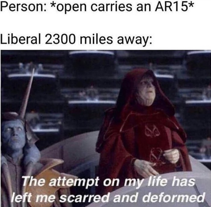 memes - attempt on my life has left me scarred and deformed - Person open carries an AR15 Liberal 2300 miles away The attempt on my life has left me scarred and deformed