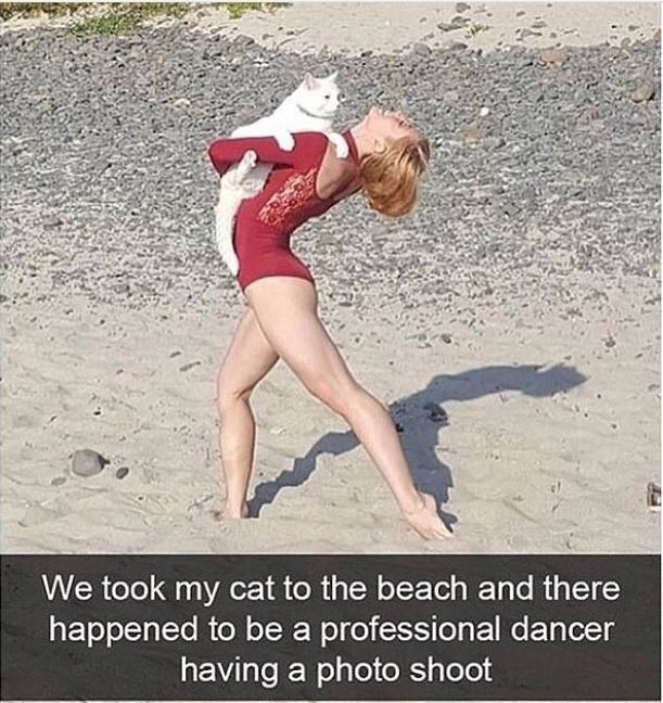 memes - dancer with cat on beach - We took my cat to the beach and there happened to be a professional dancer having a photo shoot