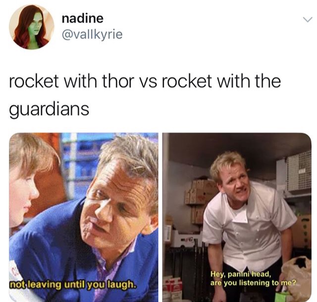 memes - gordon ramsay memes - nadine rocket with thor vs rocket with the guardians Hey, panini head, are you listening to me? not leaving until you laugh.