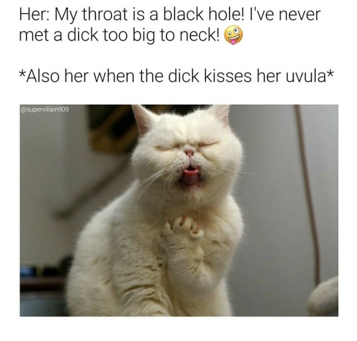 memes - embarrassing my kids meme - Her My throat is a black hole! I've never met a dick too big to neck! Also her when the dick kisses her uvula