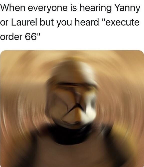 sunday meme about the Yanny or Laurel debate with a confused stormtrooper executing orders