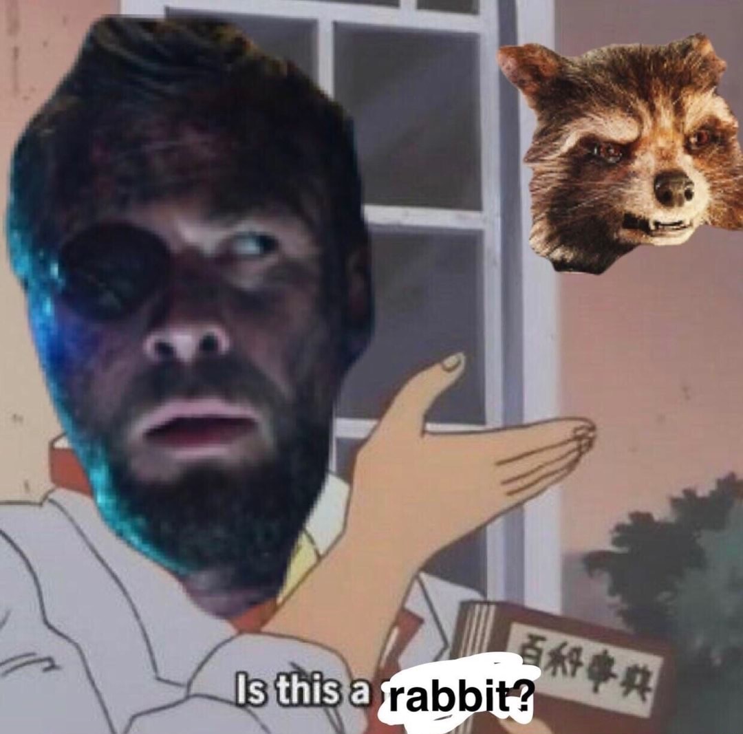 memes - vb long neck memes - Is this a rabbit?