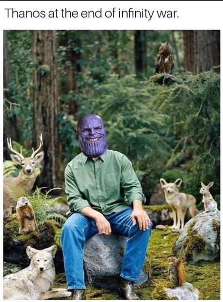 memes - intelligence in lifestyle - Thanos at the end of infinity war.