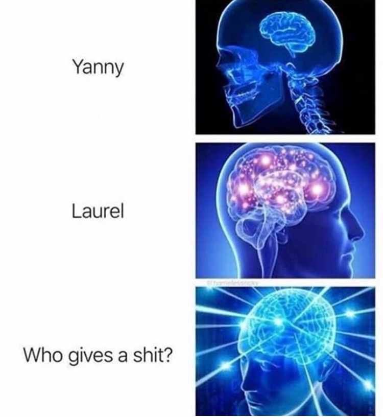memes - your mom gay no you - Yanny Laurel Who gives a shit?
