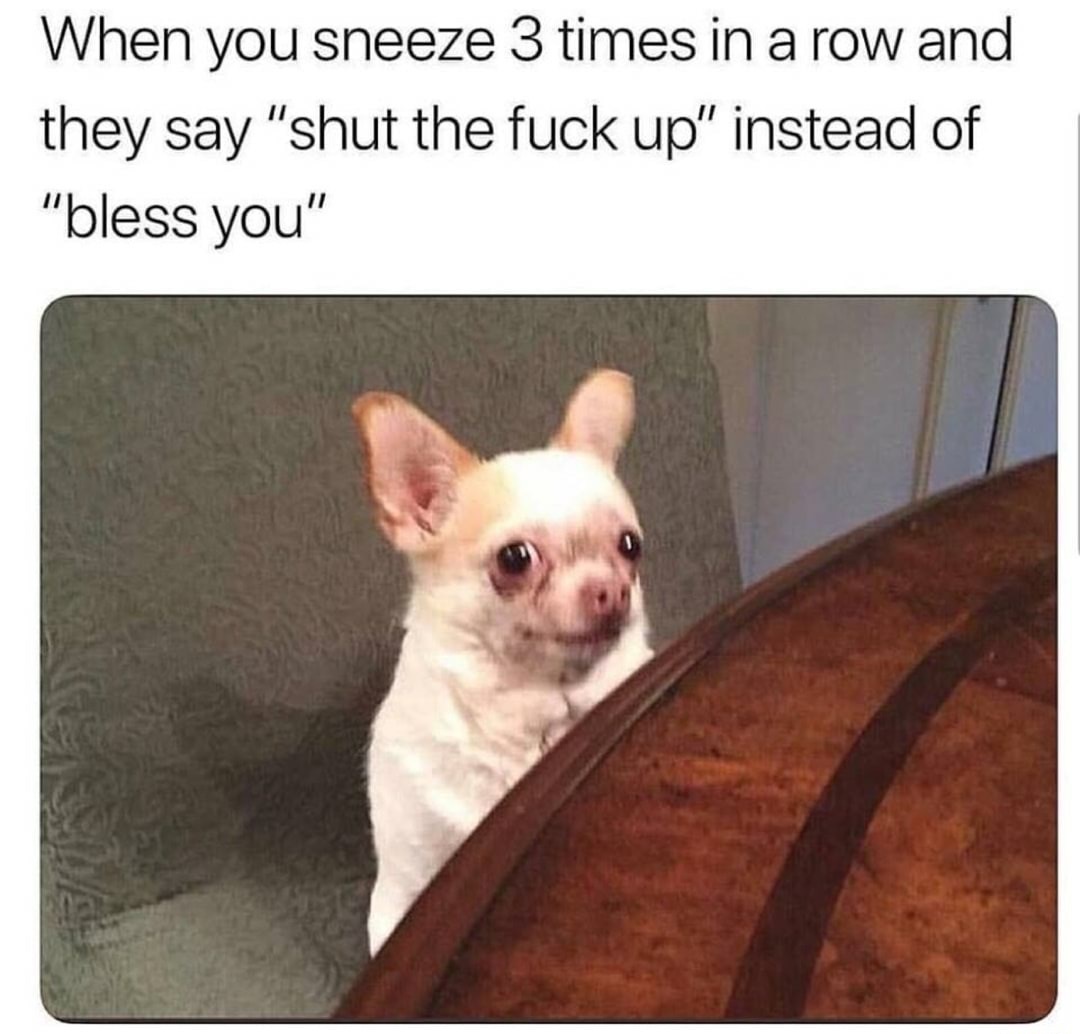 memes - you sneeze 3 times meme - When you sneeze 3 times in a row and they say "shut the fuck up" instead of "bless you"