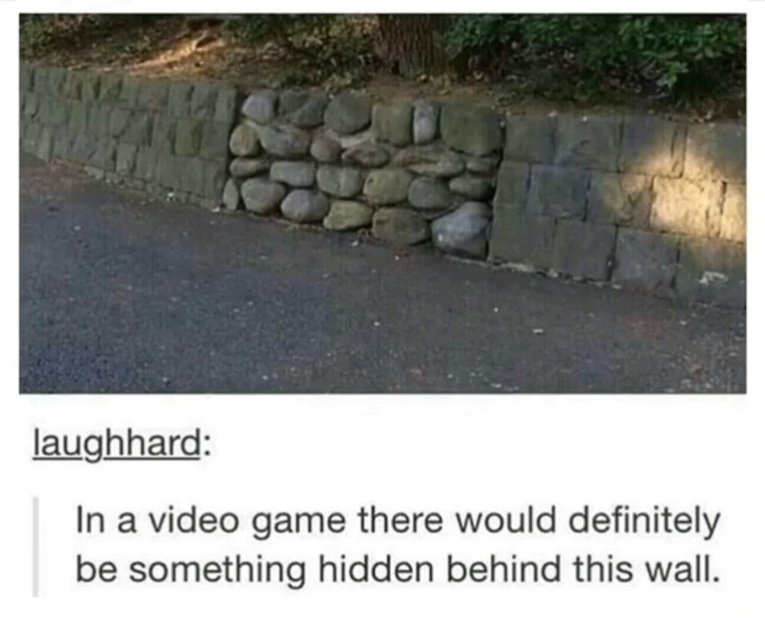memes - video game there would definitely be something hidden - laughhard In a video game there would definitely be something hidden behind this wall.