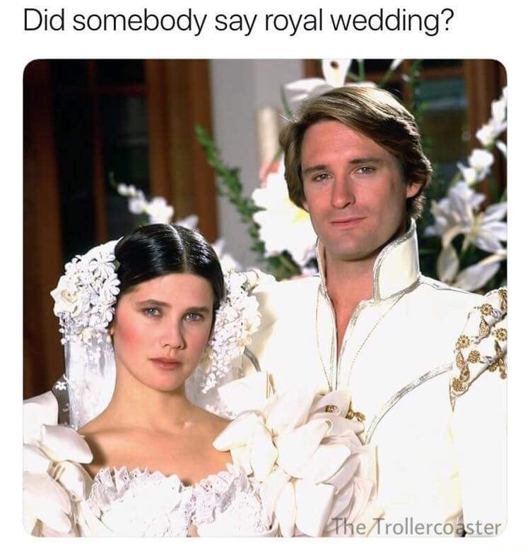 memes - royal wedding meme - Did somebody say royal wedding? The Trollercoaster