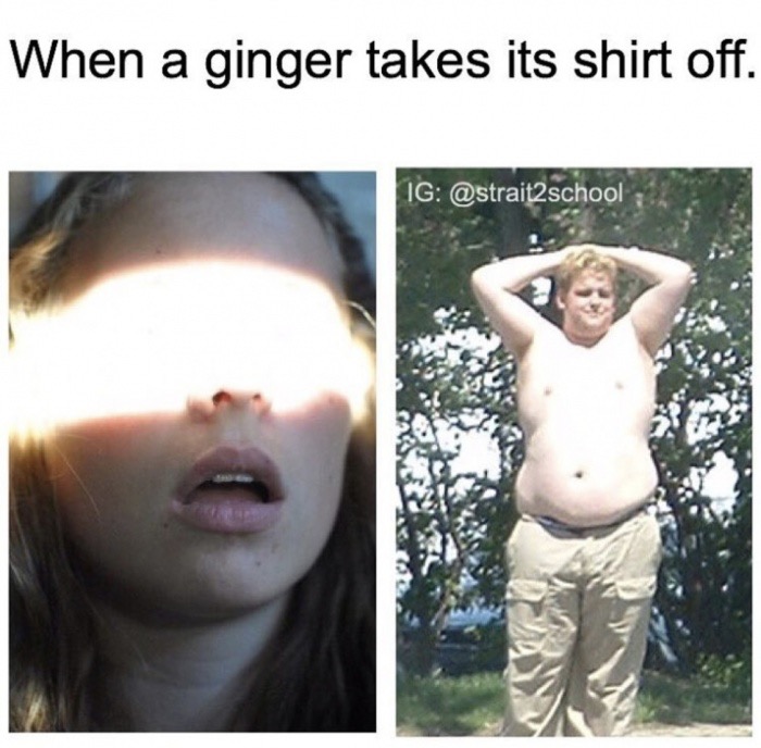 memes - fat shirtless male - When a ginger takes its shirt off. Ig