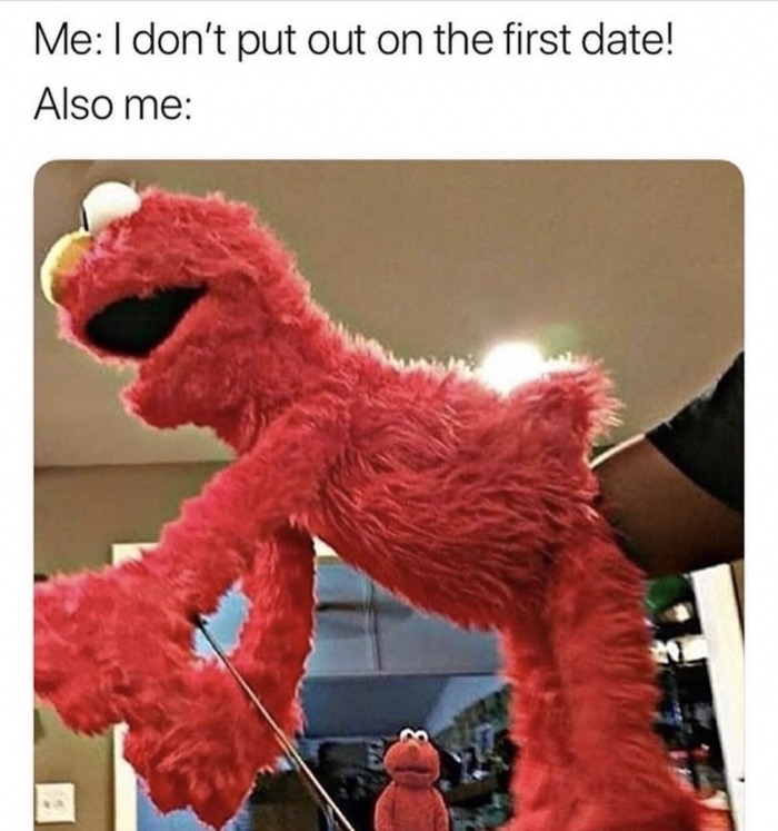 memes - i m losing my absolute shit at the elmo in the background - Me I don't put out on the first date! Also me