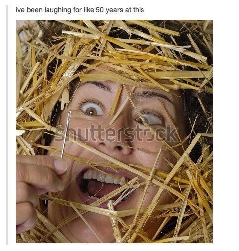 memes - needle in haystack stock - ive been laughing for 50 years at this Shutterstock
