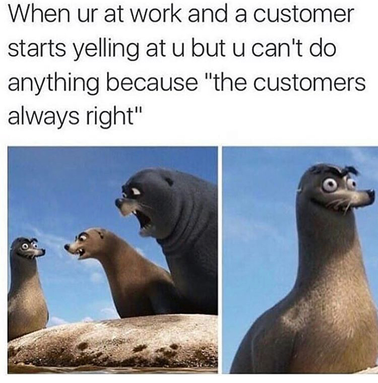 memes - bad customer service memes - When ur at work and a customer starts yelling at u but u can't do anything because "the customers always right"